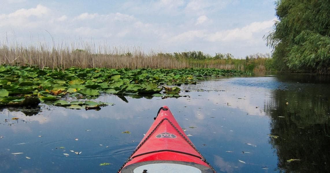 Kayak & Paddleboard Rentals with Ultimate Kayak SRQ
