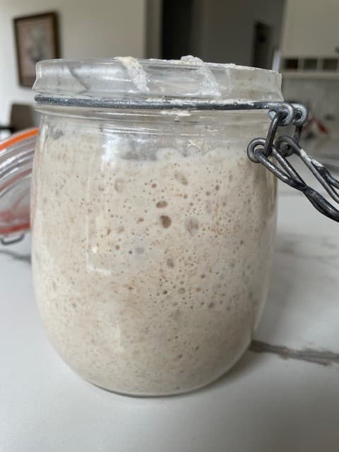Hands-On Sourdough Workshop in Oshawa: Two Hours to Your First Starter photo 3