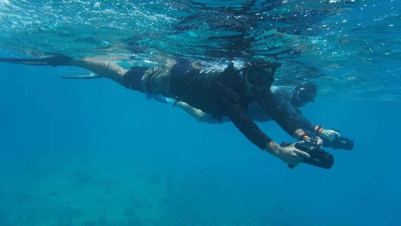 Snorkeler using underwater scooter exploring blue reef near Hawaii