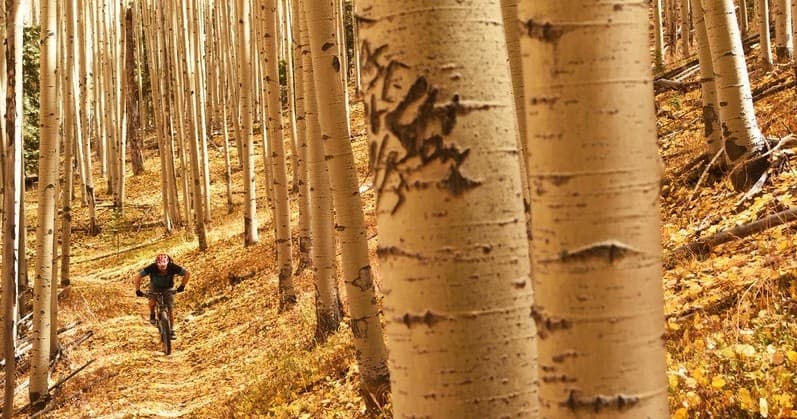 South Boundary Trail One-Day: Taos to Rio Grande Gorge Mountain Bike Descent