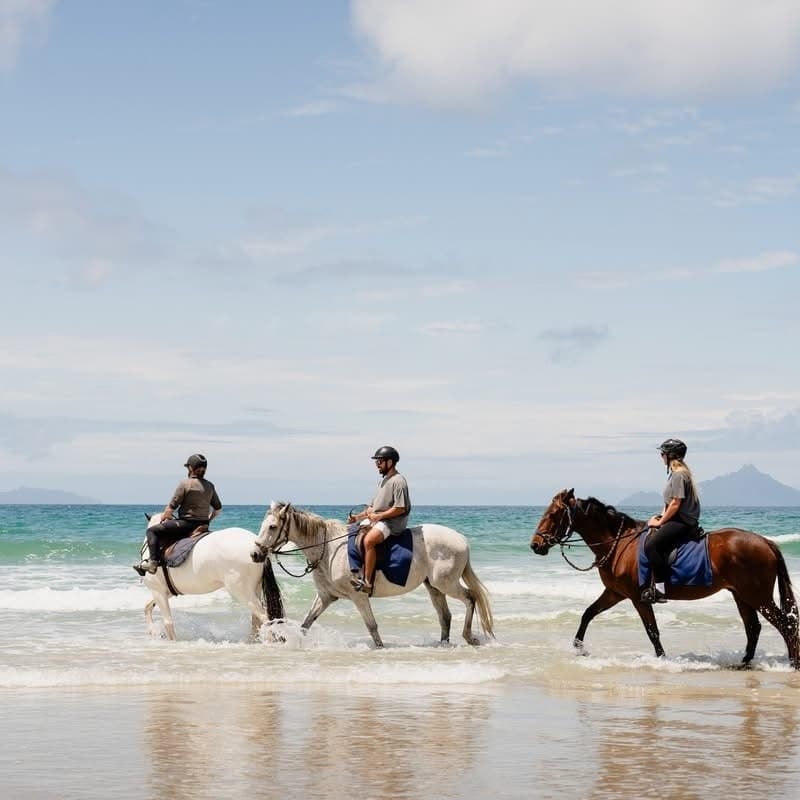 Three riders cantering through shallow surf on a beach