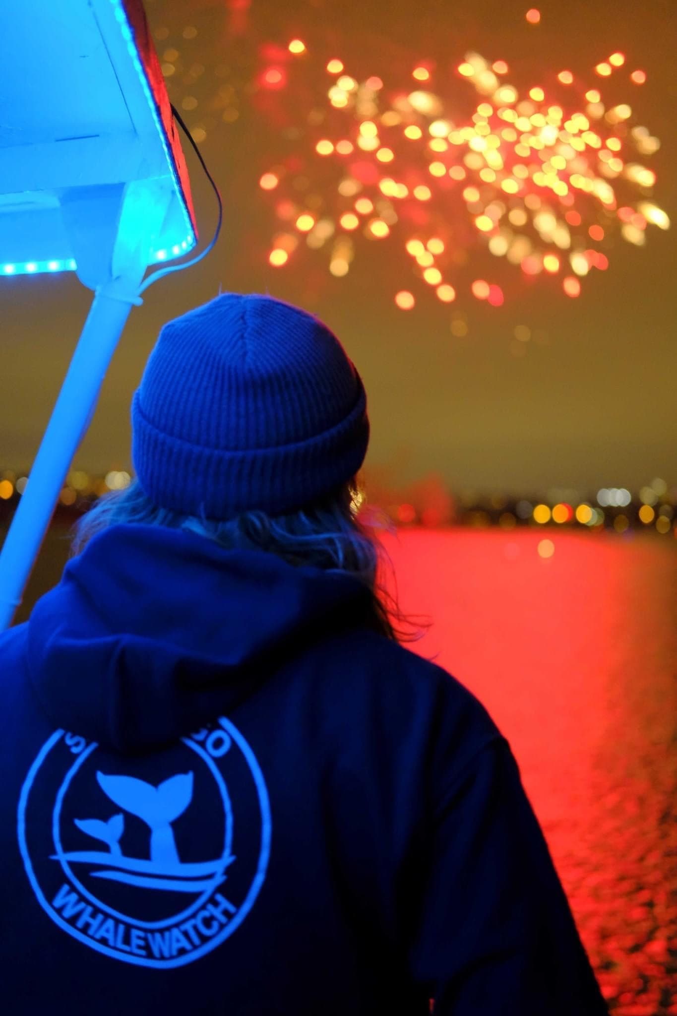 Firework Cruise Experience in San Diego Bay