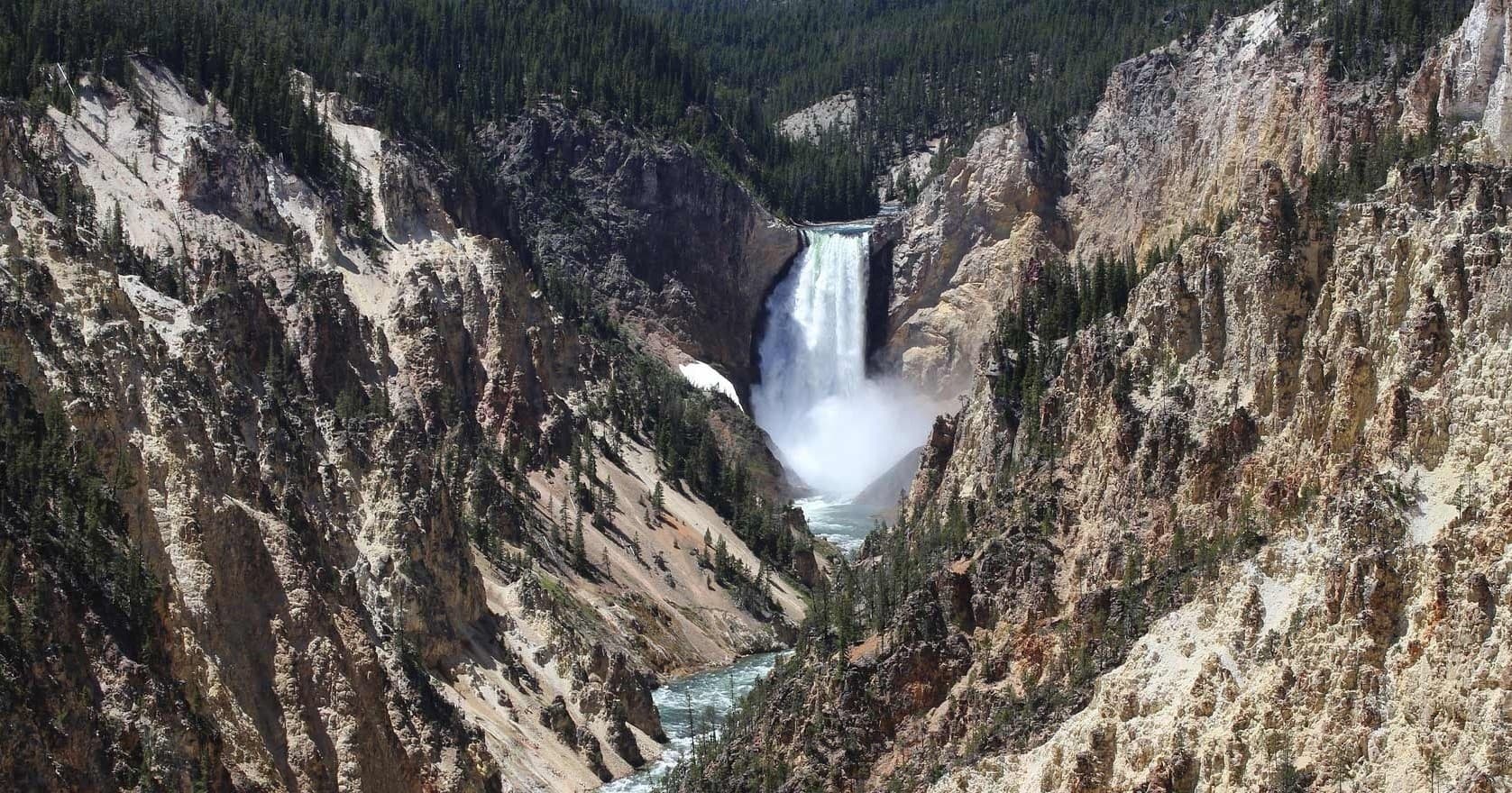 Yellowstone Wildlife & Scenic Private Tour by BrushBuck Wildlife Tours Inc.