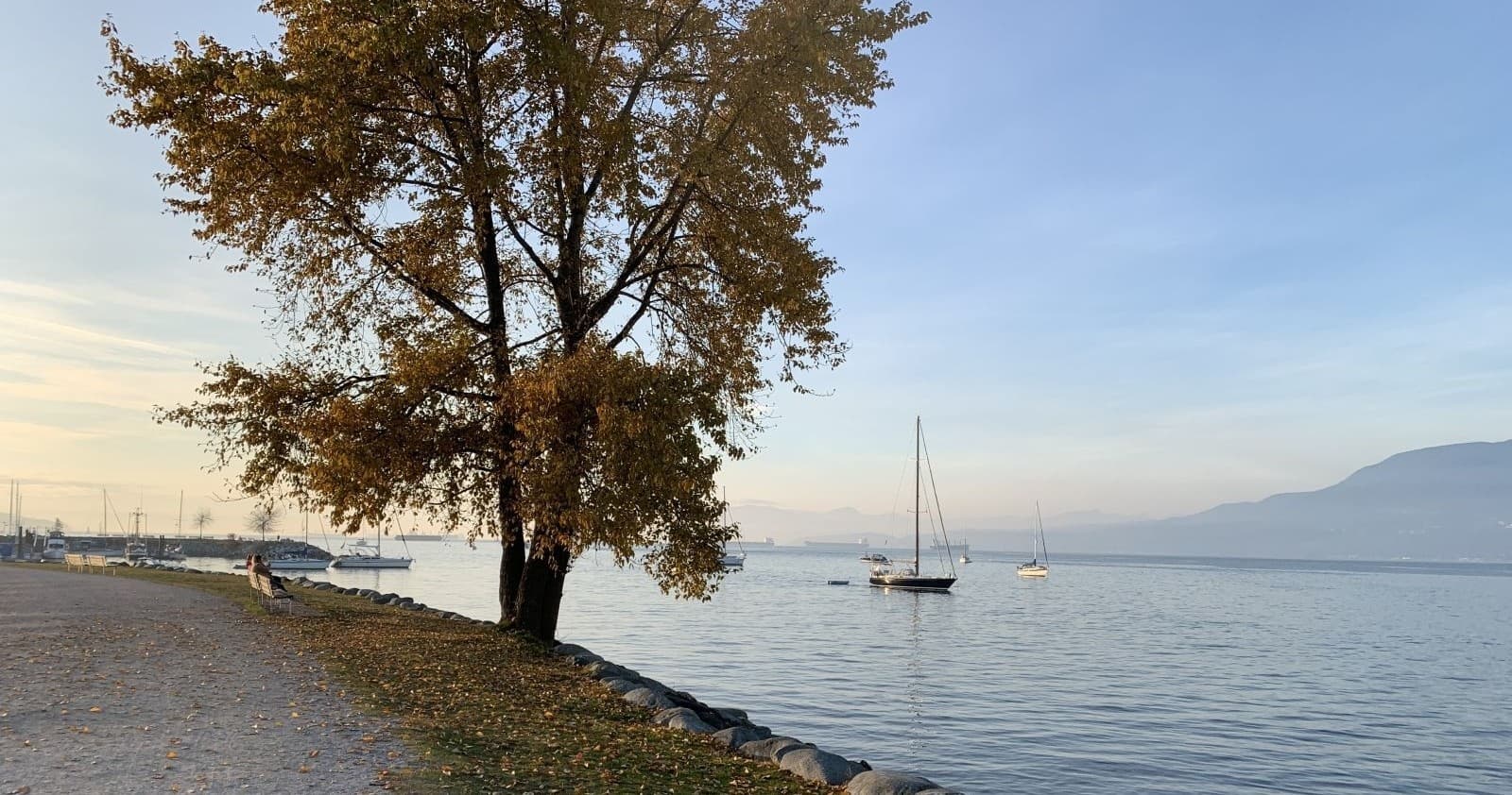 Experience Vancouver’s Stunning Sunset on a Private Bike and E-Bike Tour