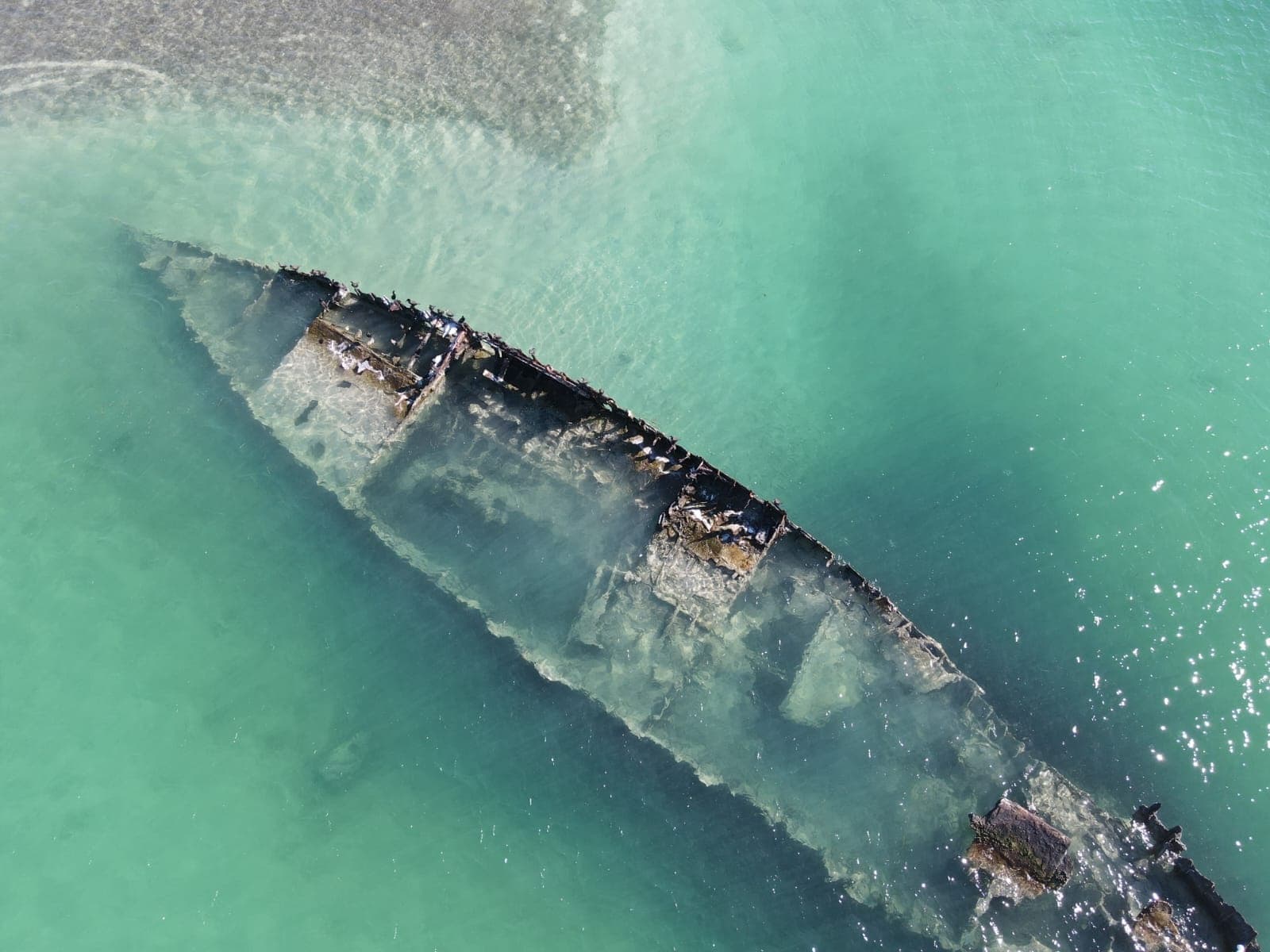 Key West Sandbar and Snorkel Trip — 6-Hour Charter Aboard Still Dreamin'