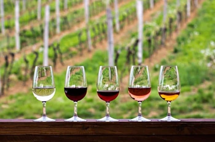 Soar Over Western North Carolina: Helicopter and Wine Tasting Adventure in Fletcher, NC