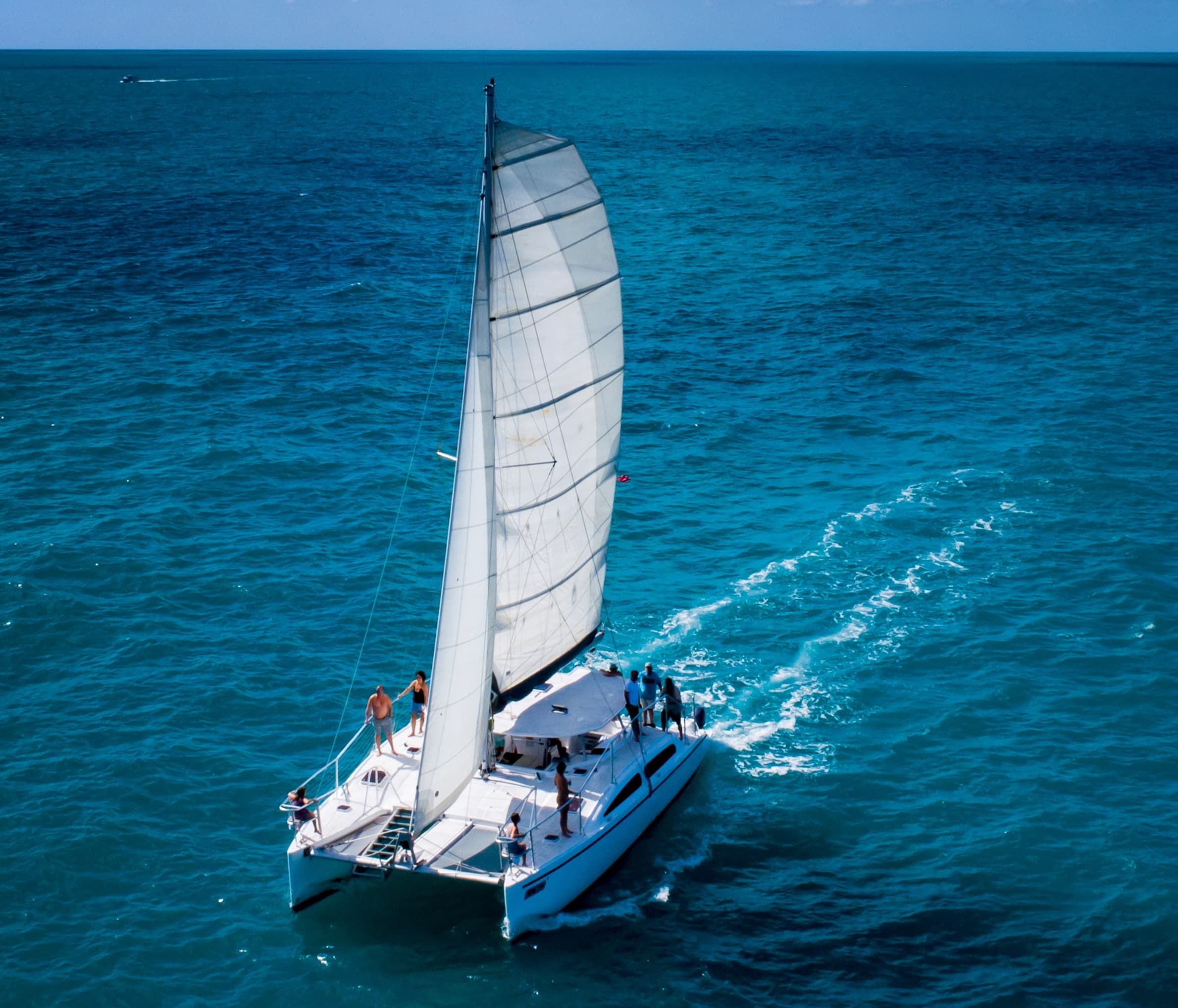 Water Activities: Champagne Dolphin Sail & Reef Snorkel in Key West