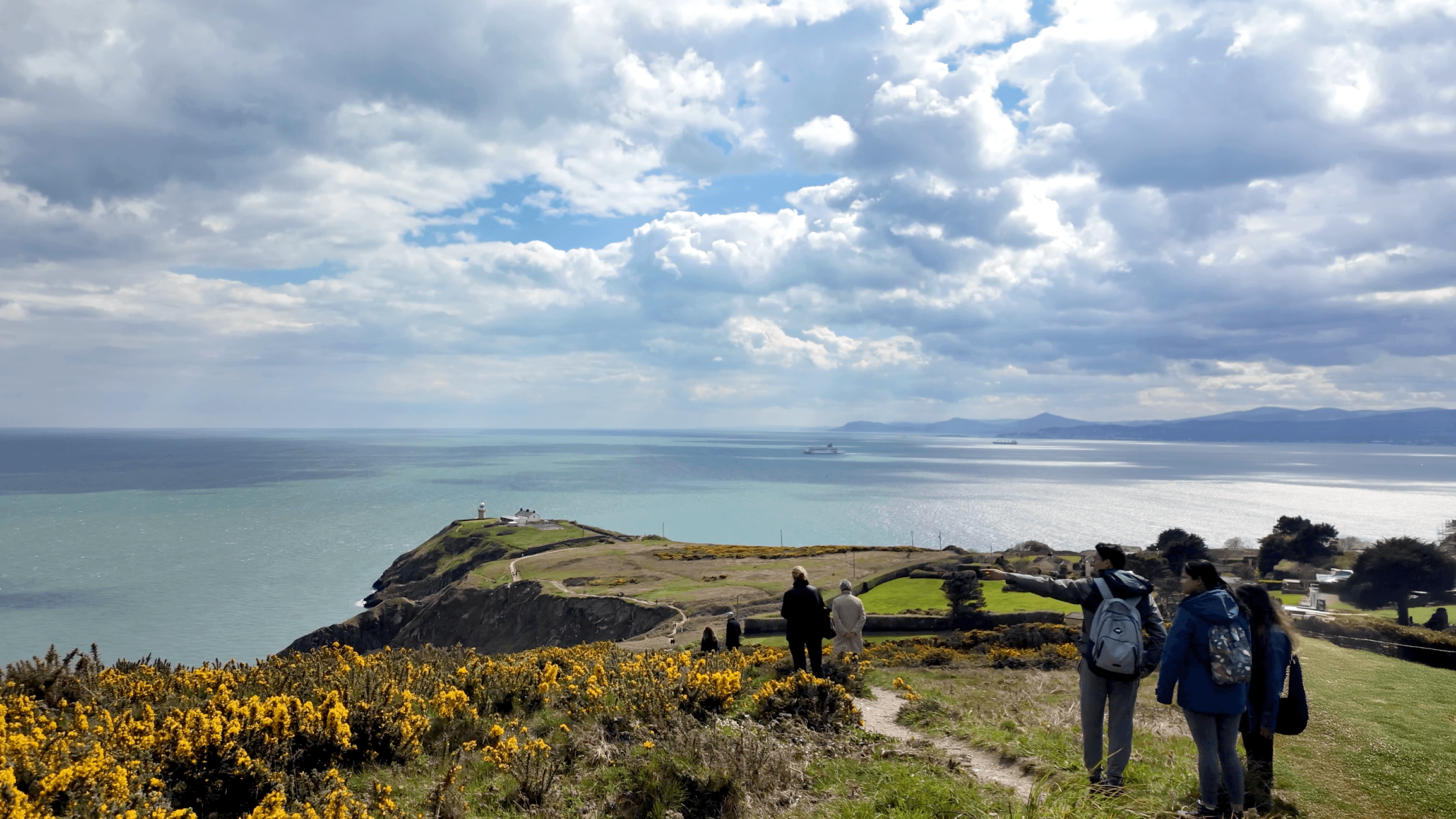 Howth Cliff Path Guided Walk: 90-Minute Coastal Hike from Dublin photo 1