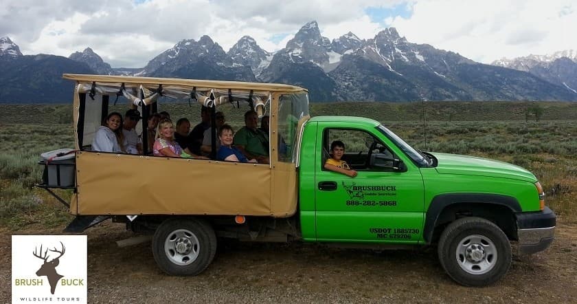 Wildlife Viewing in Grand Teton with BrushBuck Wildlife Tours