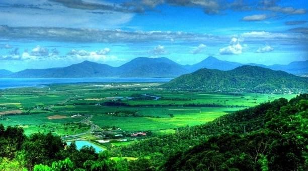 Budget-Friendly Kuranda & Palm Cove Tours with Brett’s Kuranda Tours