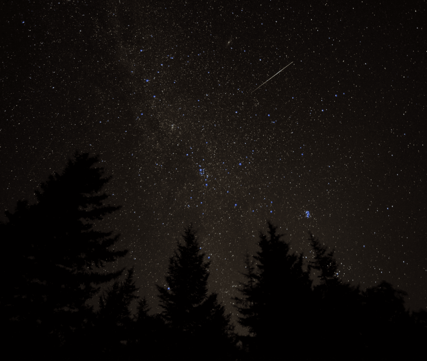 Experience the Magic of the Meteor Shower Paddle on Saxapahaw Lake in North Carolina