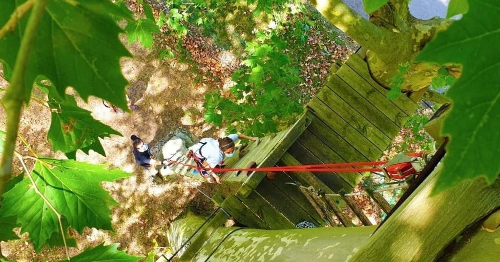 Canopy Adventure at Alceda Aventura