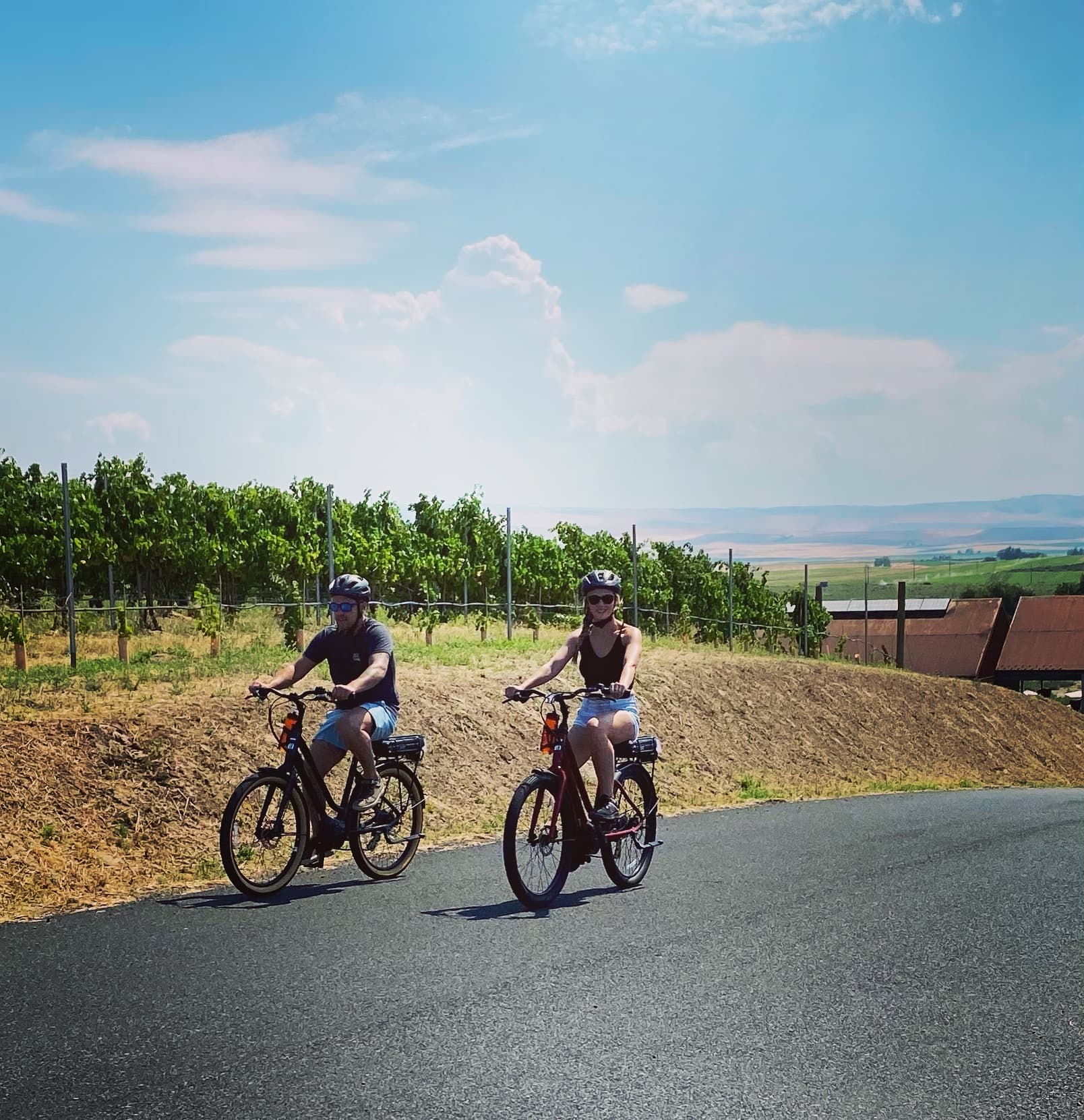Two cyclists riding past vineyard on sunny rural road