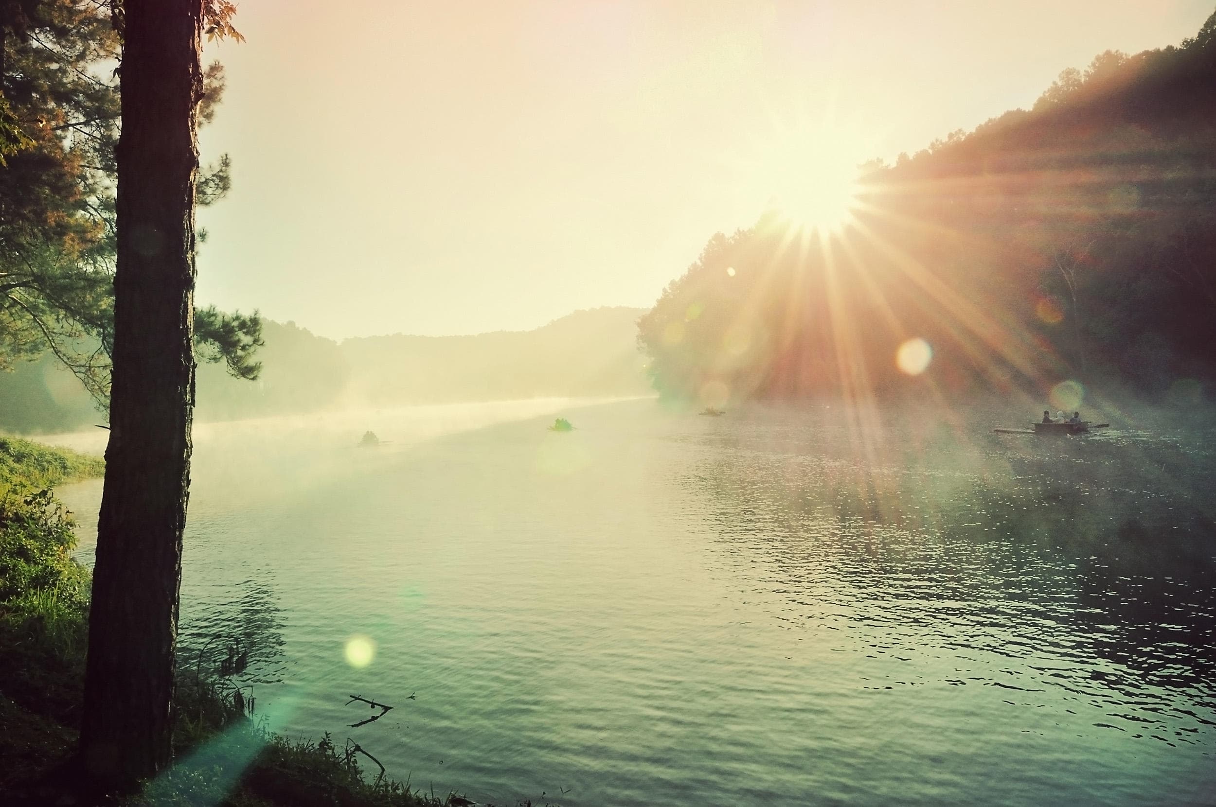 Sunlit misty lake at sunrise with lone tree and small boats