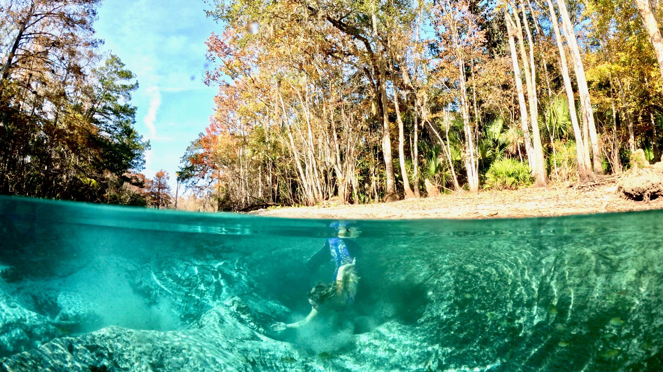 Paddle to Cannon Springs: Hidden Springs of the Oklawaha from Fort McCoy, FL