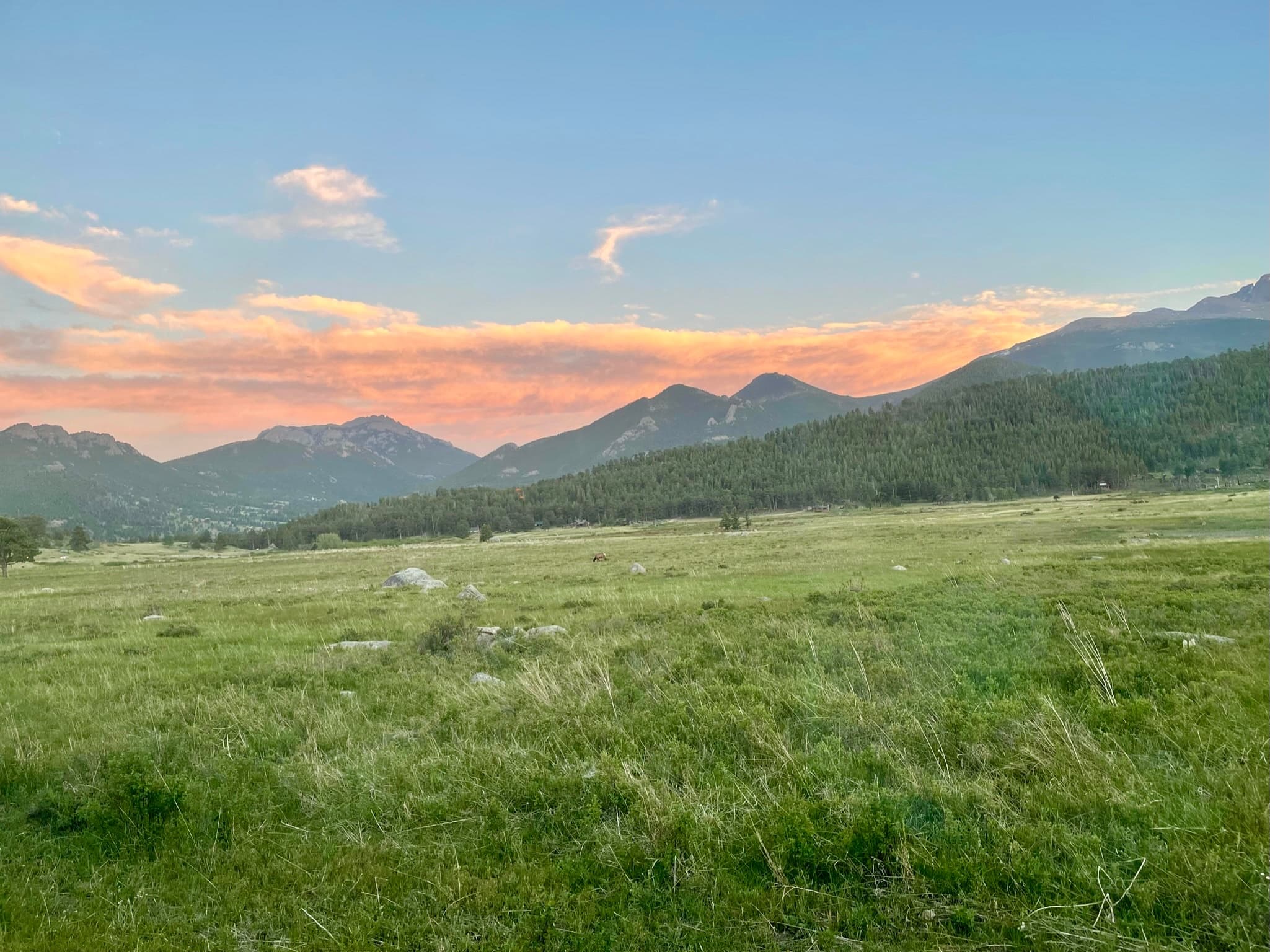 Drive Trail Ridge and Old Fall River Road: The Full Ride Experience in Rocky Mountain National Park photo 3
