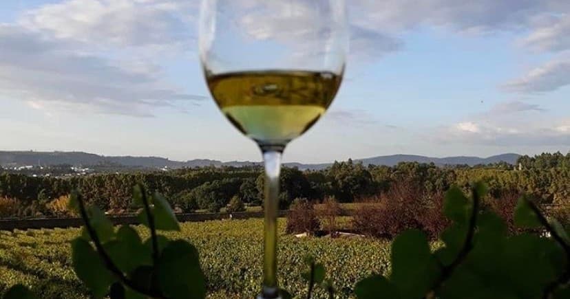 Wine Tasting & Heritage at Penafiel Winery