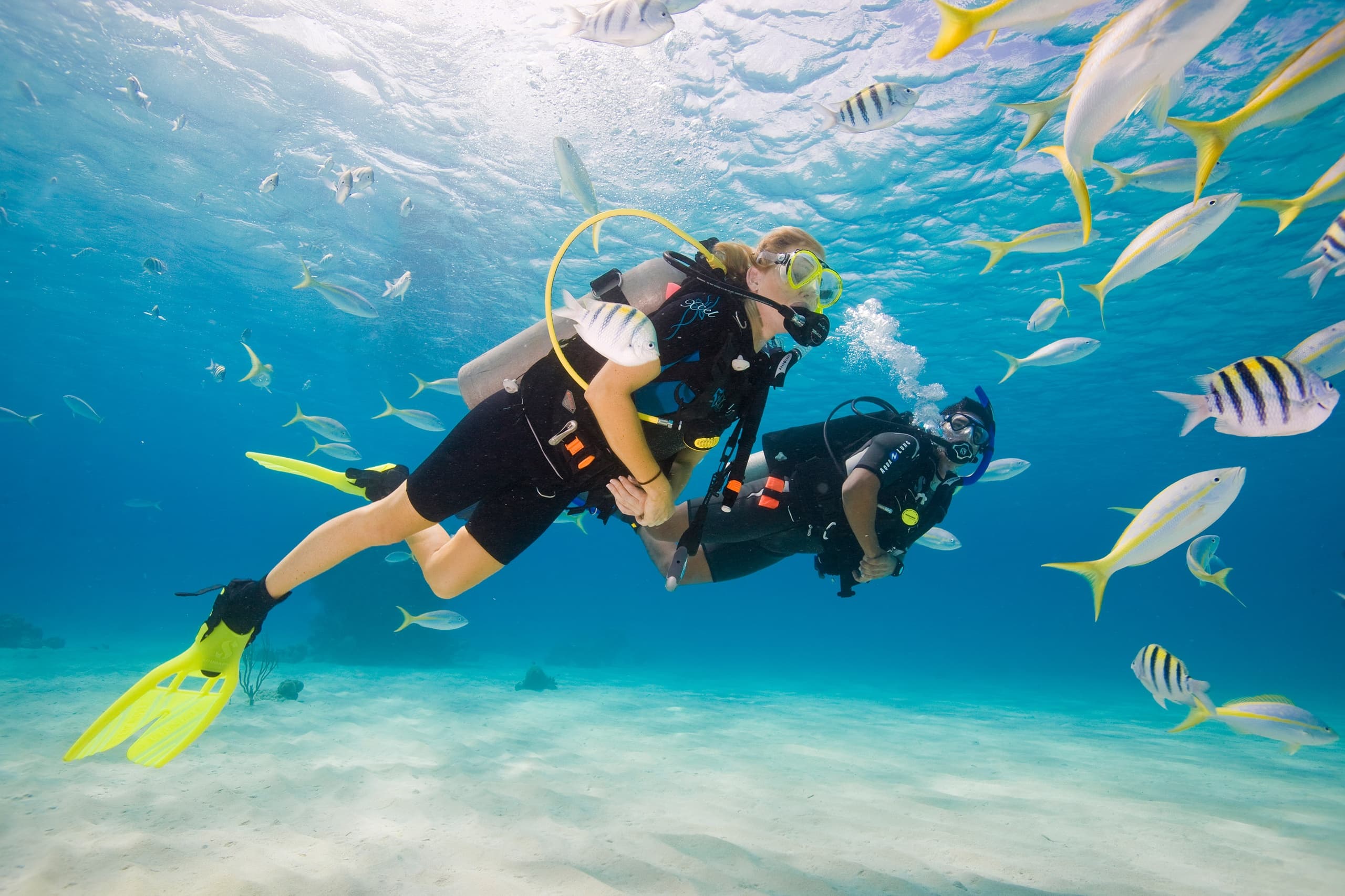 Scuba Diving with Tarpoon Lagoon Dive Center