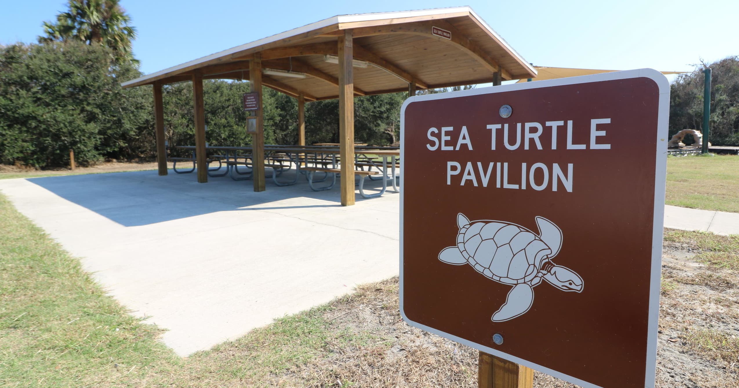Sea Turtle Pavilion Gatherings with Anastasia Watersports in St. Augustine