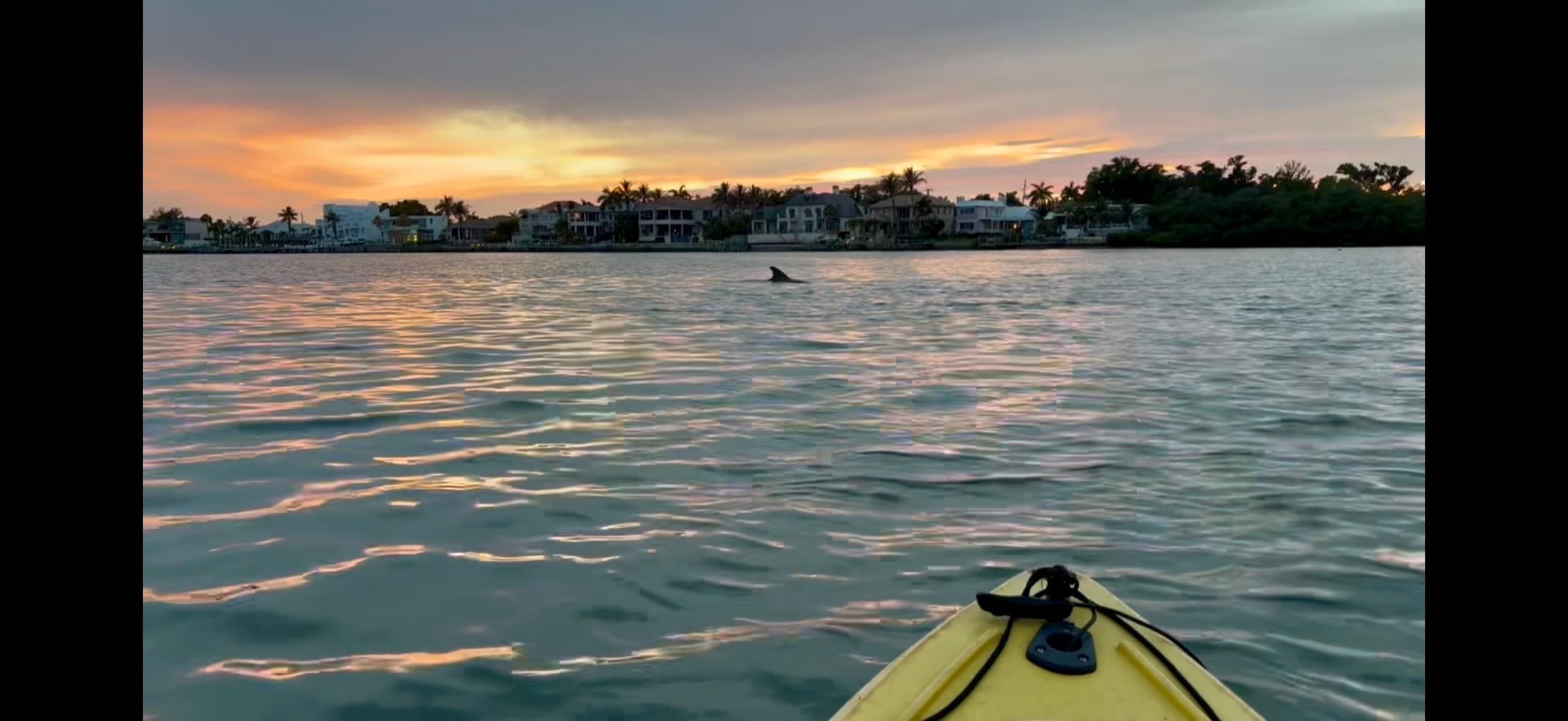 Sunset Clear-Bottom Kayak Tour in Sarasota: Paddle Over Seagrass and Spot Manatees photo 1