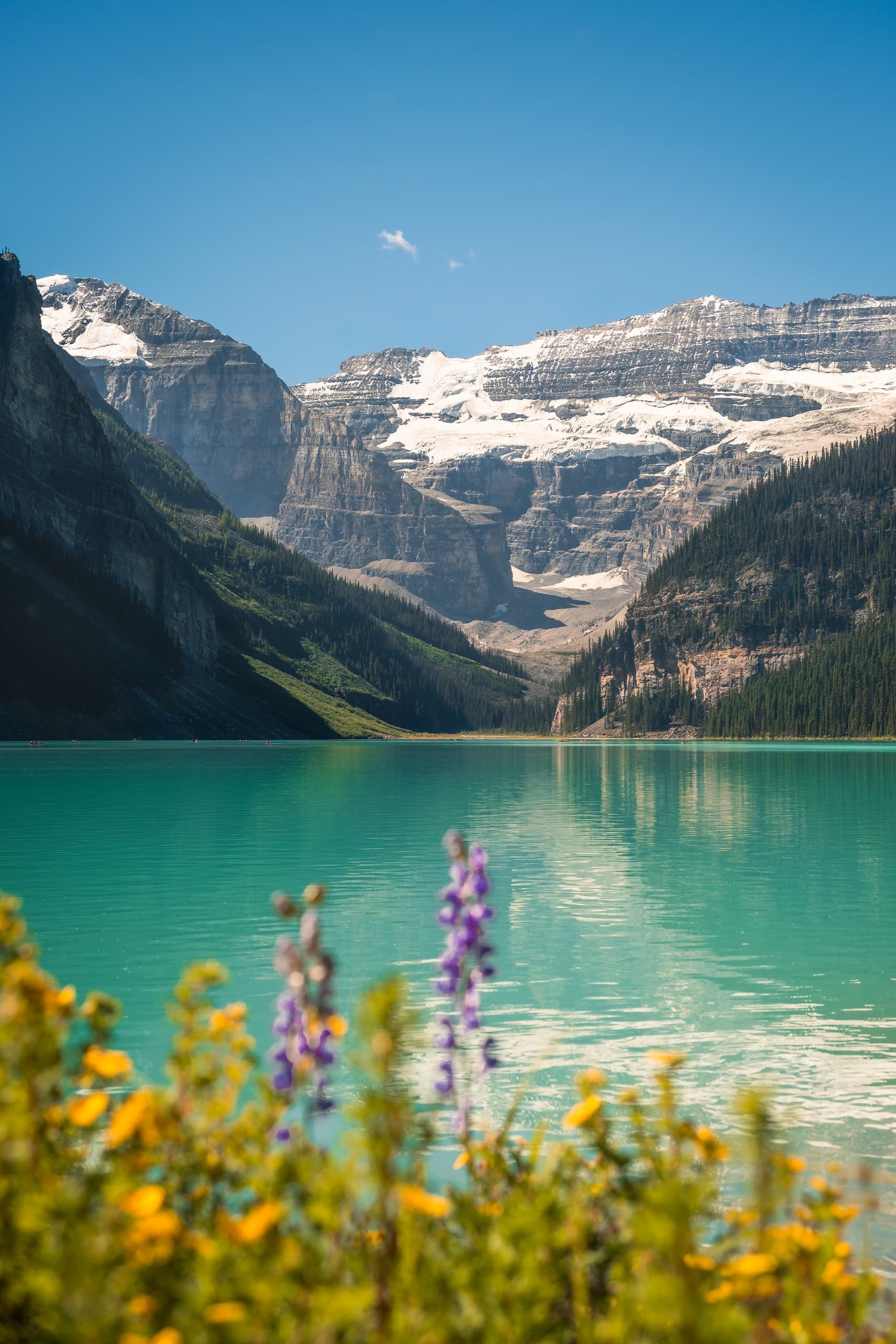 Hiking in Banff National Park with Via Via Shuttle Service Inc.