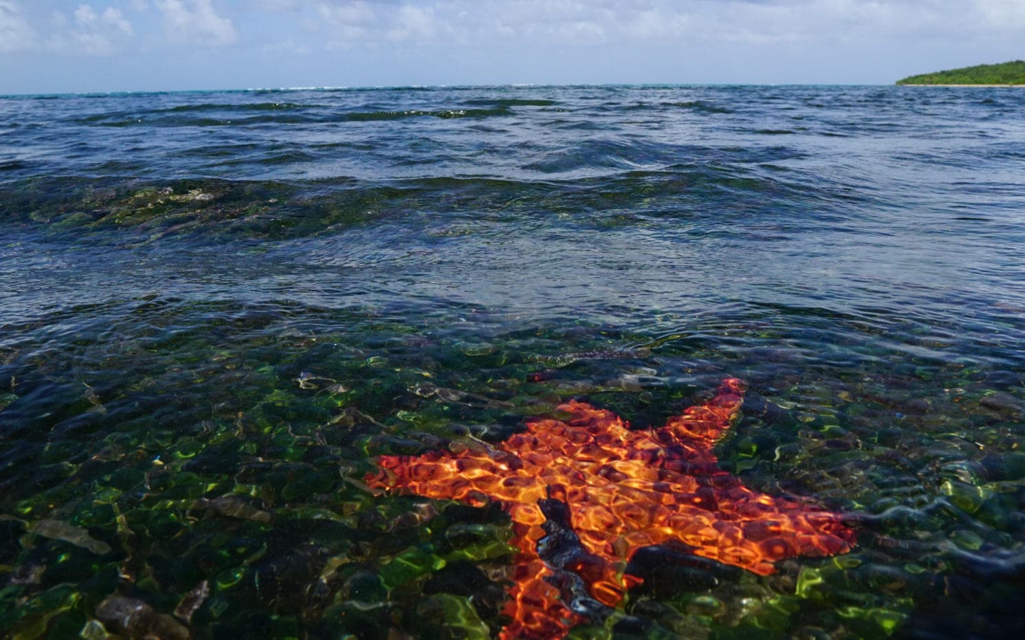 Custom Snorkeling Adventures in Fajardo, Puerto Rico