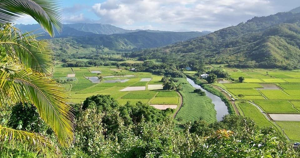 Explore Kauai by Boat: Private Tour from Honolulu