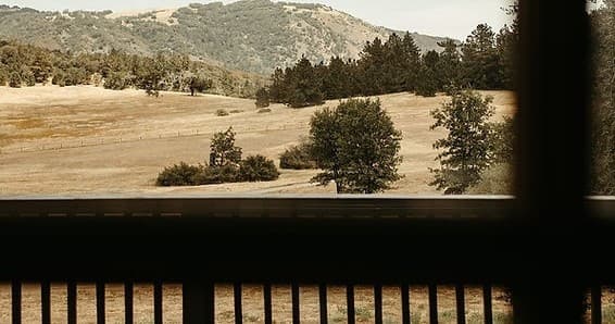 Healing on Horseback: The Transformative Therapeutic Trail Ride at Sacred Mountain Ranch