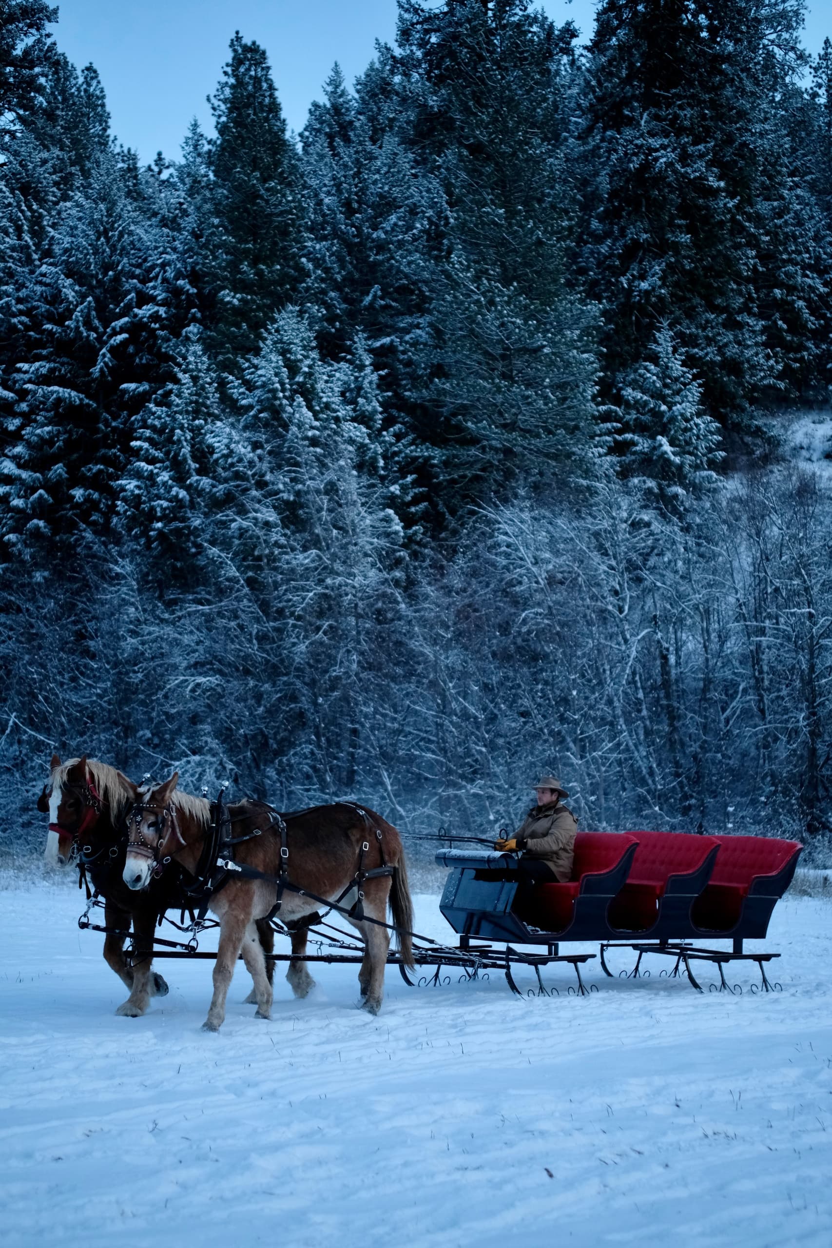 Eagle Creek Sleigh Rides, LLC team