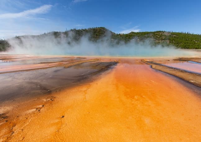 Yellowstone Land Adventures: Guided Tour of Natural Wonders