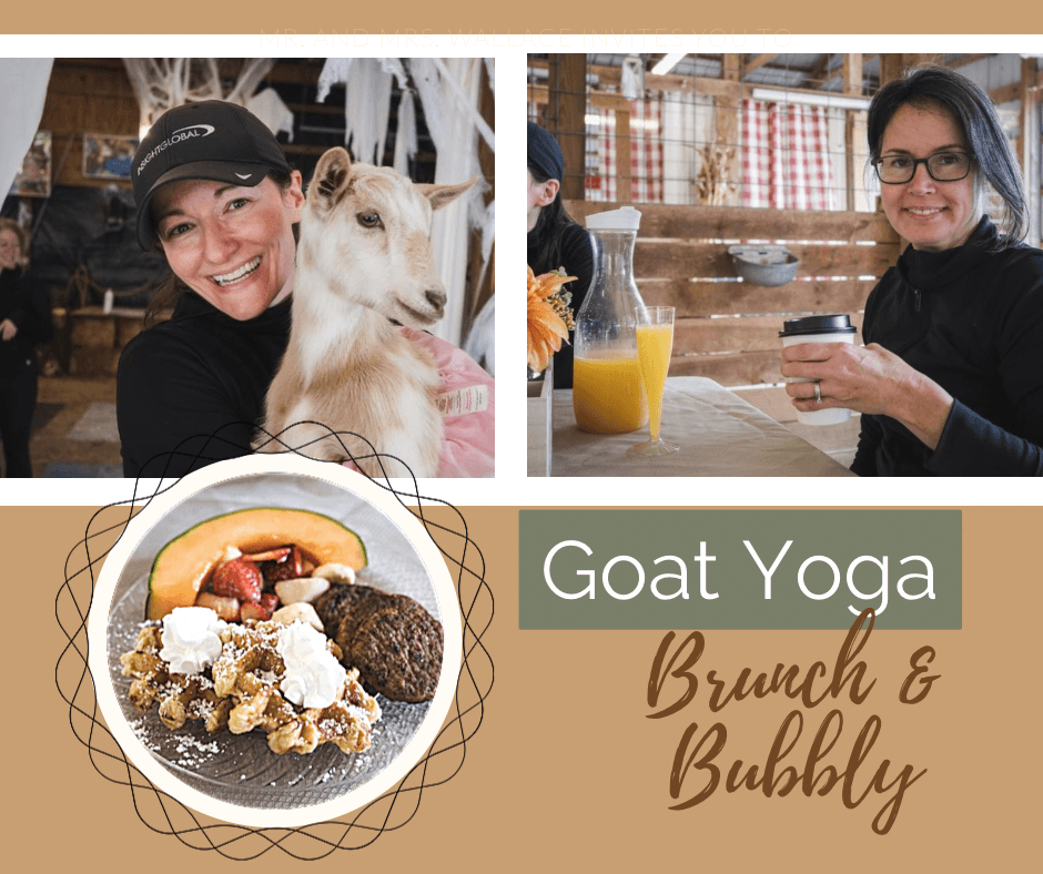 Goat Yoga & Farm to Table Brunch in Glen Allen, VA