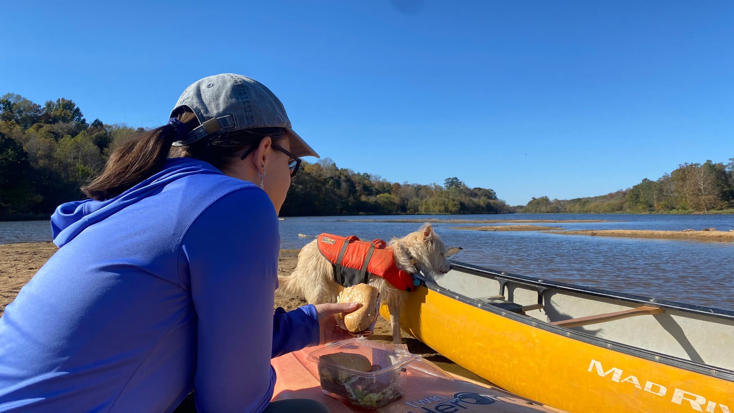 Slow Paddles & Sandbars: All Day on Saxapahaw Lake Flatwater Rentals photo 2