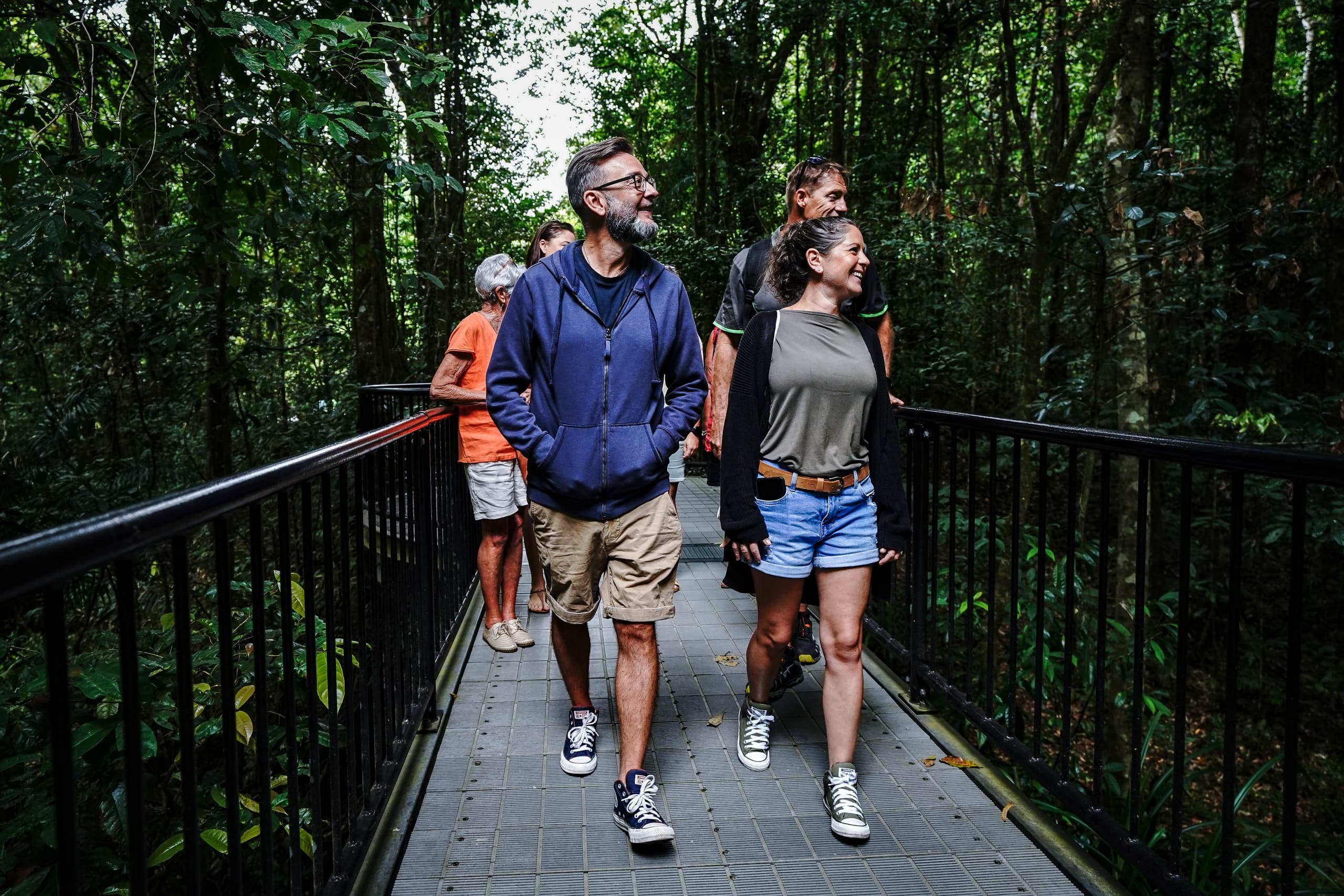 Half-Day Rainforest Tour with Daintree Discovery Tours