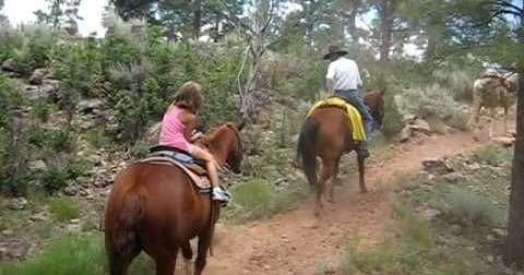 Horseback Through the Kaibab: 2-Hour Trail Ride from Grand Canyon Village