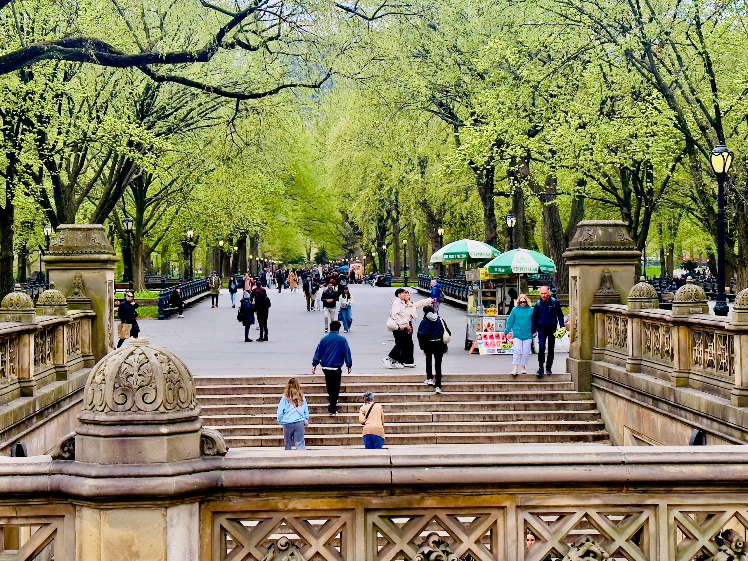 Classic Central Park Pedicab Tour: One-Hour Ride Past Bethesda Fountain, Bow Bridge & Strawberry Fields