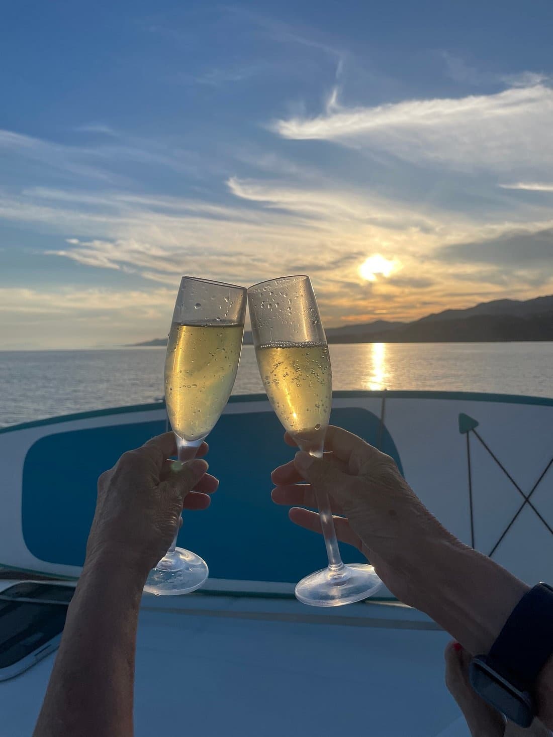Sunset Cava Cruise from Marina del Este: Two-Hour Luxury Yacht Experience in La Herradura