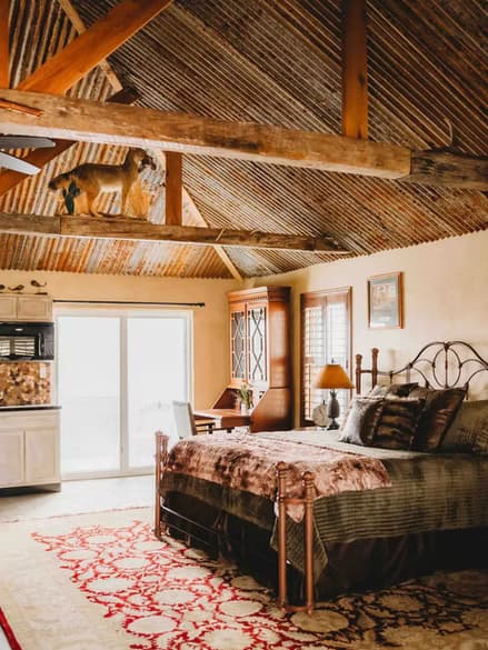 Garden Cottage at Rockin' Star Ranch — A Quiet Brenham Retreat Under the Texas Sky photo 4