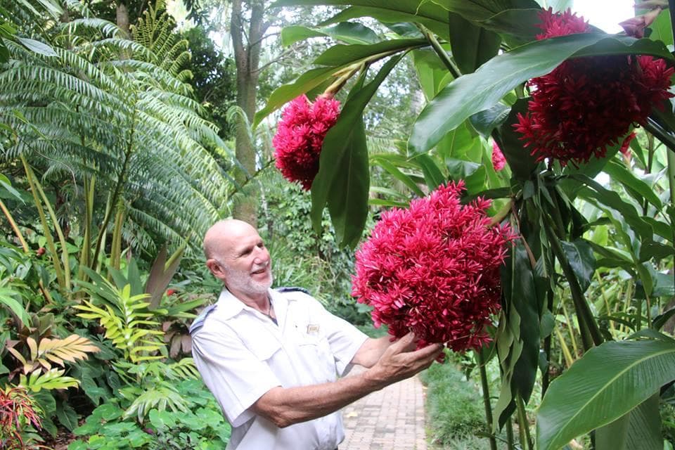 Kuranda Day Tour from Yorkeys Knob: Scenic Train, Rainforest & Village Exploration