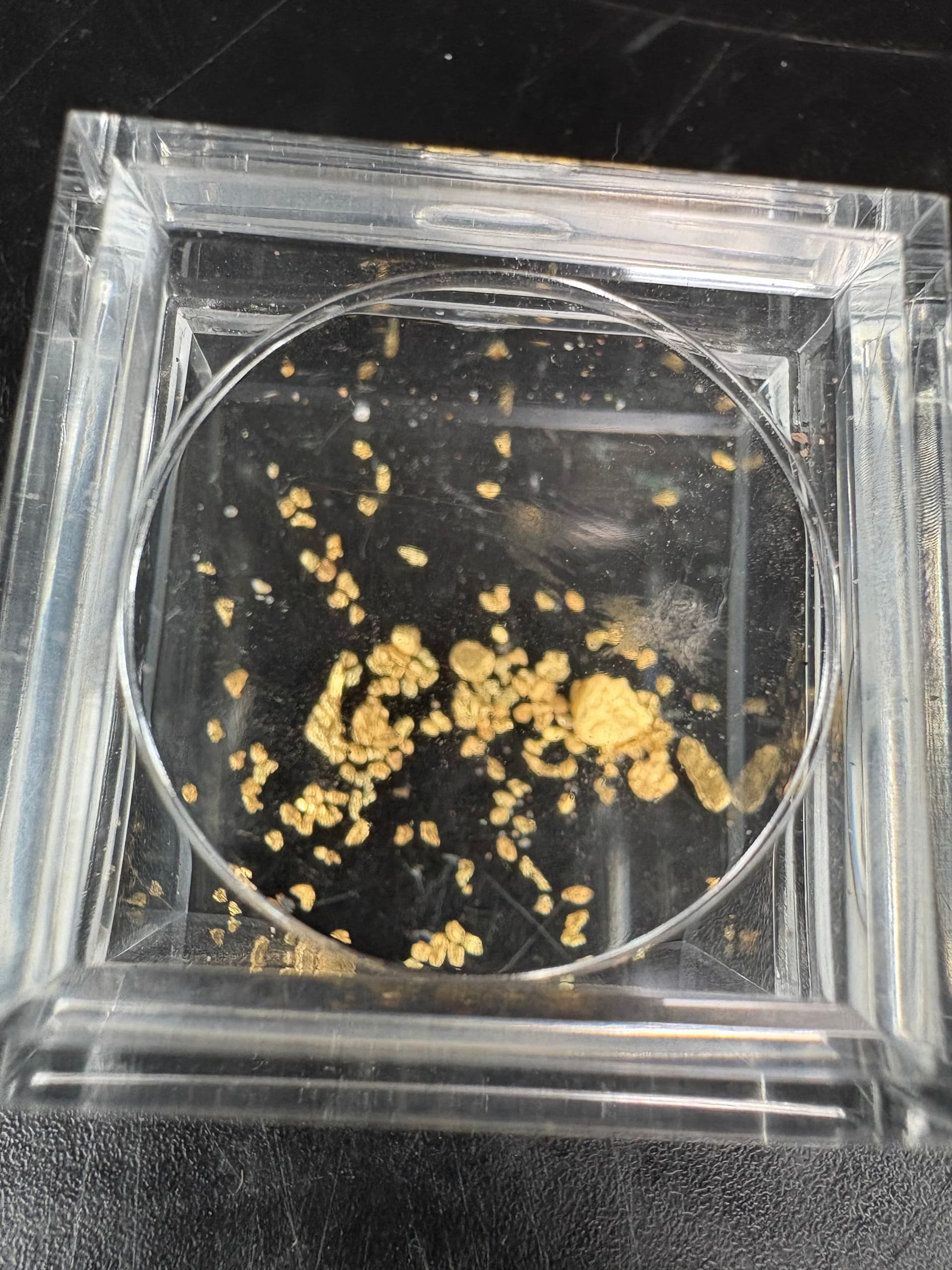 Gold panning flakes displayed in a pan sample from Alaska prospecting
