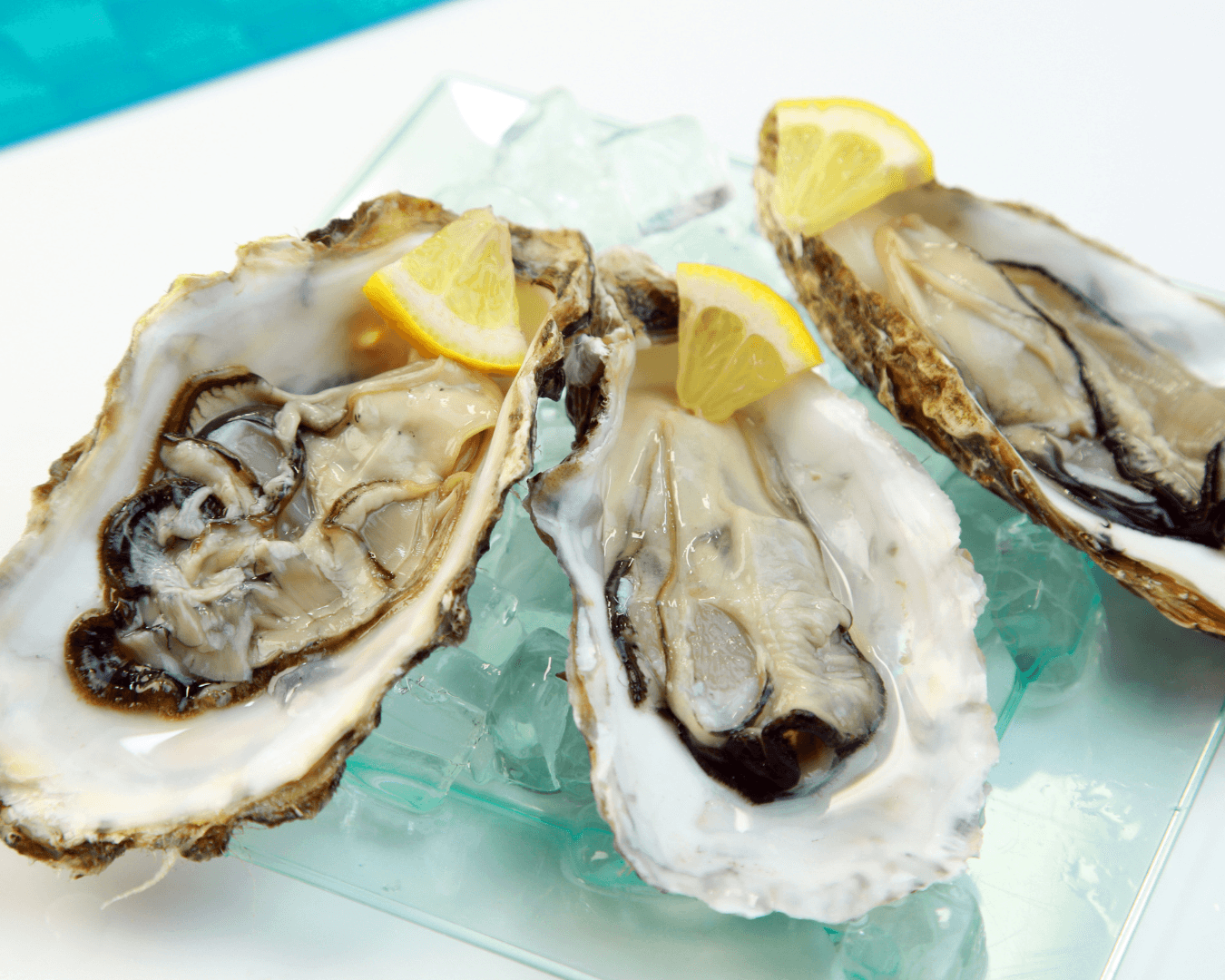 Fresh oysters on crushed ice with lemon wedges, seafood platter