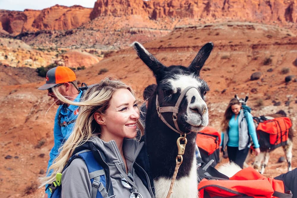 2 Hour Llama Hike in Capitol Reef, Utah