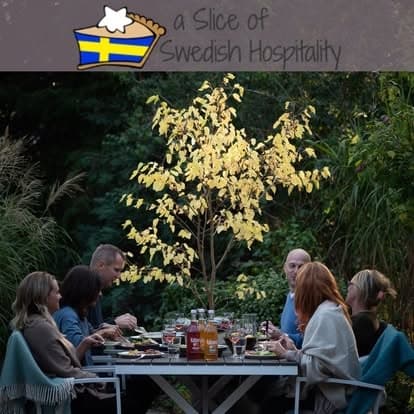 A Slice of Swedish Hospitality fleet