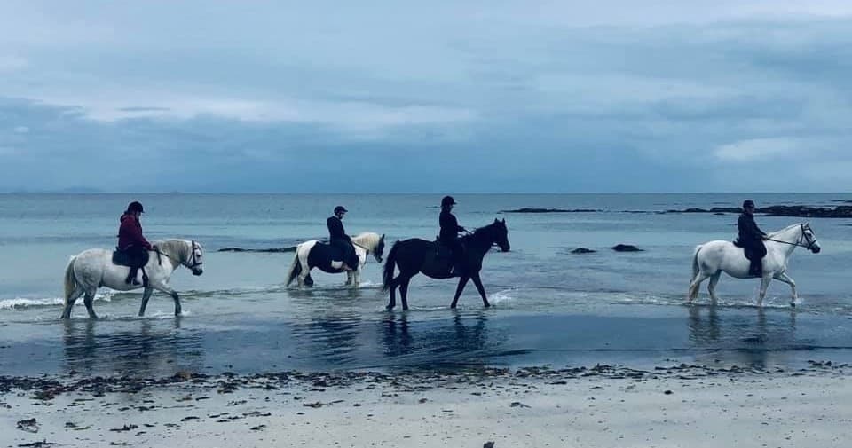 Group horseback riding along coastal beach at low tide