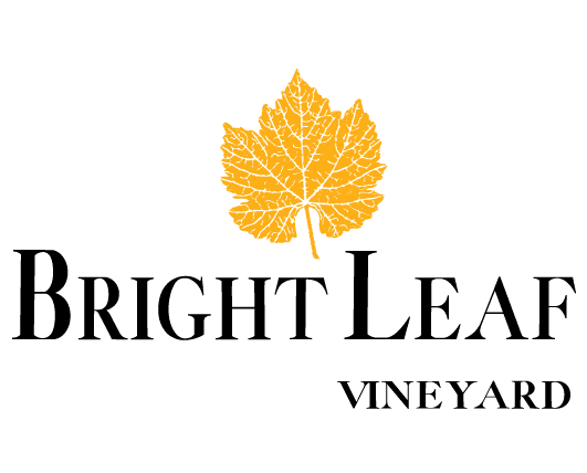 Outdoor Wine & Picnic Experience at Bright Leaf LLC