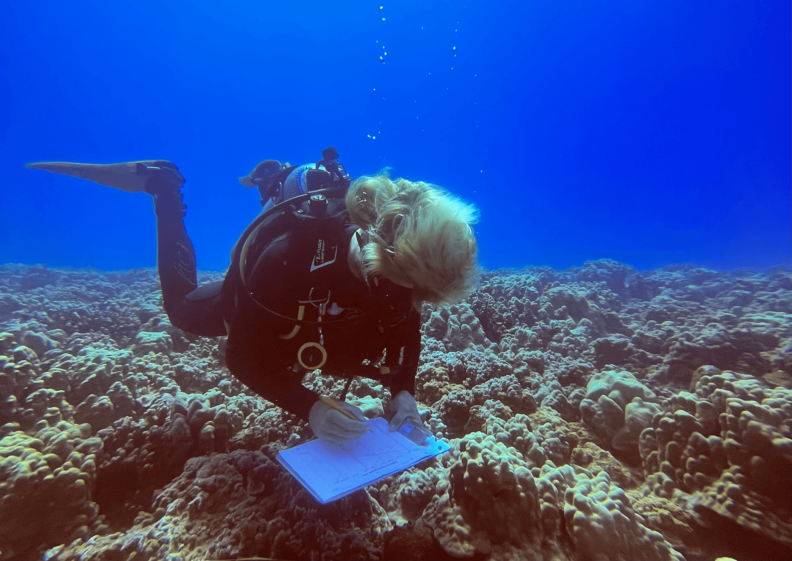 Scuba diver recording reef survey notes over coral in blue ocean
