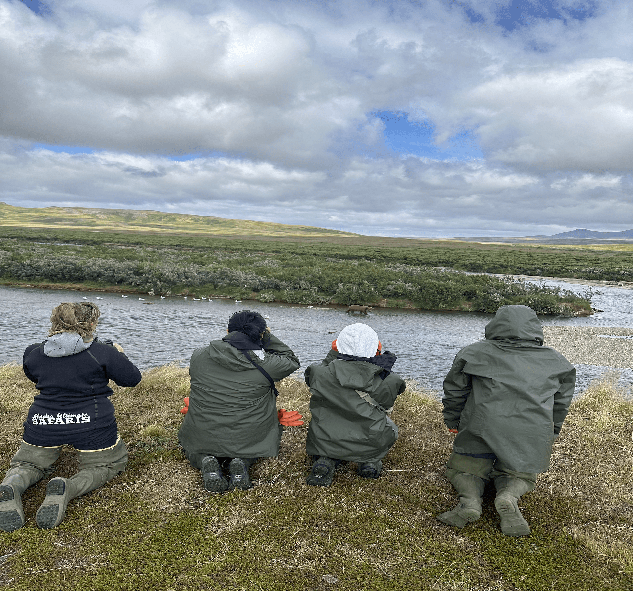 Alaska Brown Bear Viewing by Float Plane: An Epic Wildlife Adventure from Homer