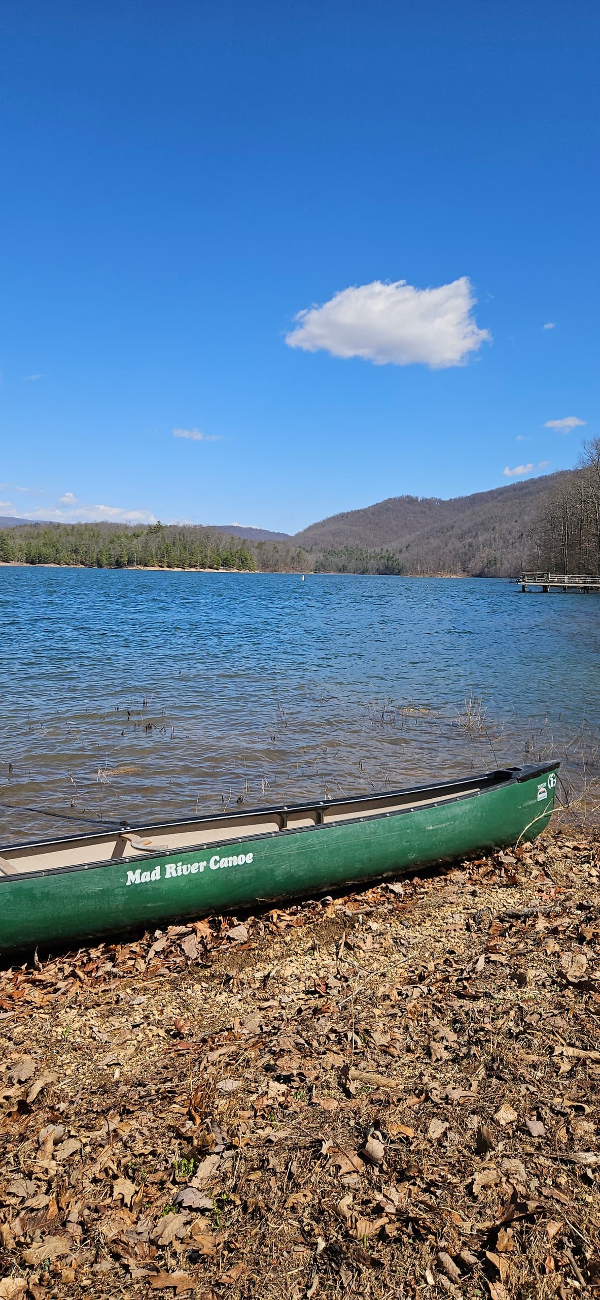 Explore Lake Moomaw: A Full-Day Paddle Adventure in Virginia’s Mountain Lake