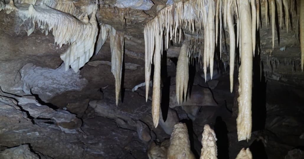 Hidden Passages Tour at Innerspace Cavern — Guided Cave Exploration in Georgetown, TX