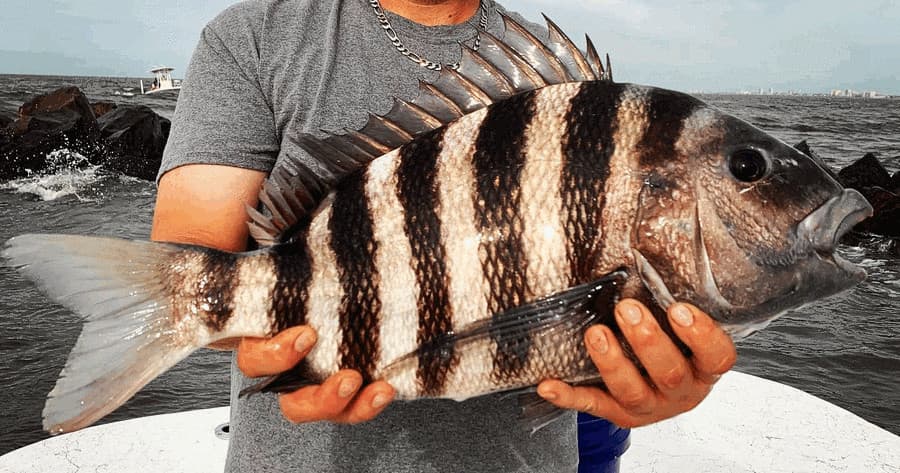 Shallow Minded Fishing Charters fleet