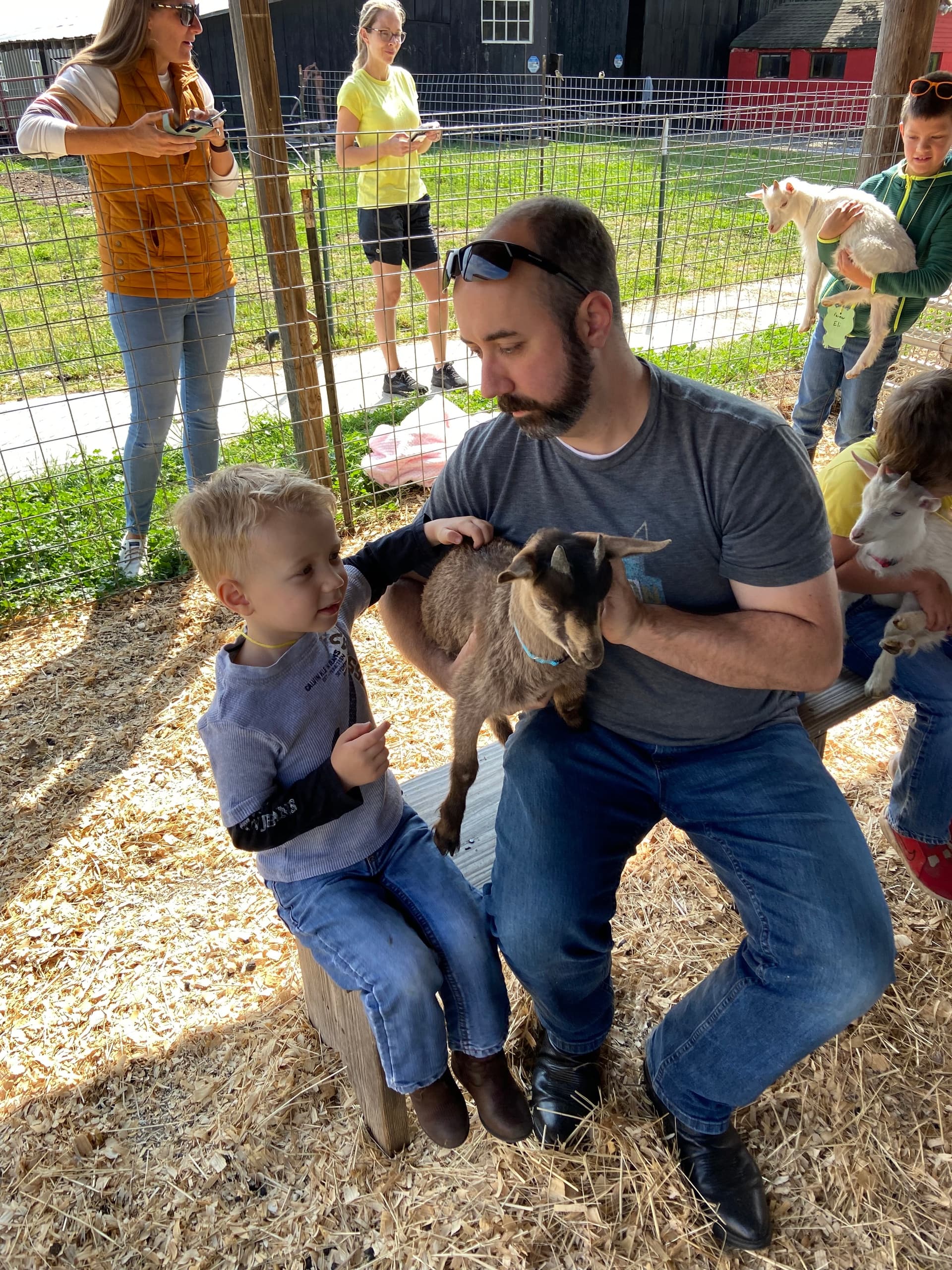 Family-Friendly Farm Days at Benton Farm in Walton